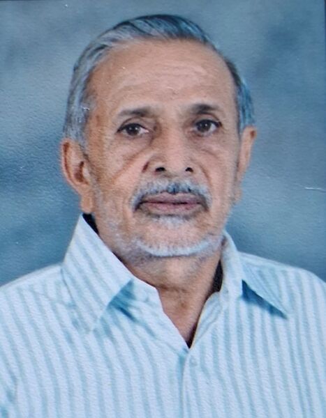 Author: ભગવાનદાસ પટેલ