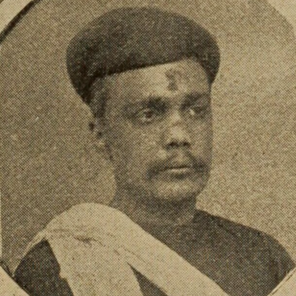 Author: મણિલાલ દ્વિવેદી