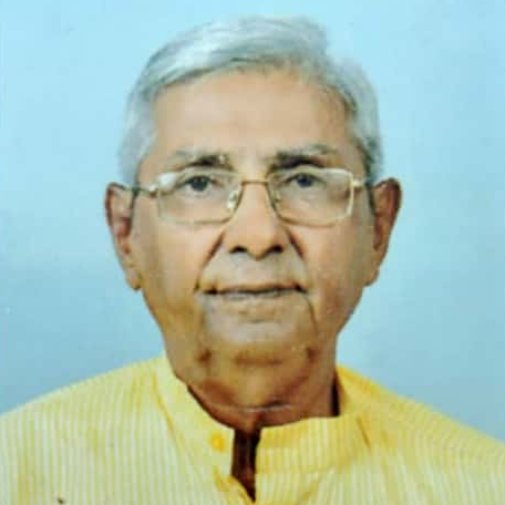 Author: પ્રાગજીભાઈ ભામ્ભી